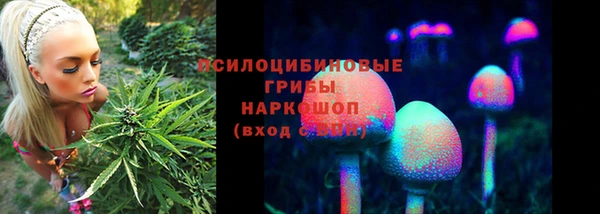 мескалин Алексин