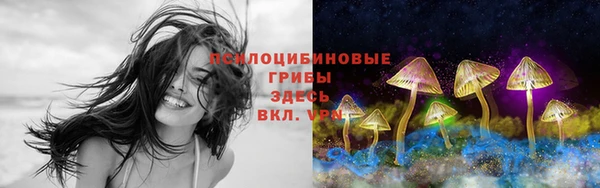 мескалин Алексин