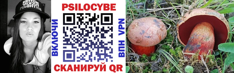 цены   ссылка на мегу маркетплейс  Галлюциногенные грибы мухоморы  Михайловск 