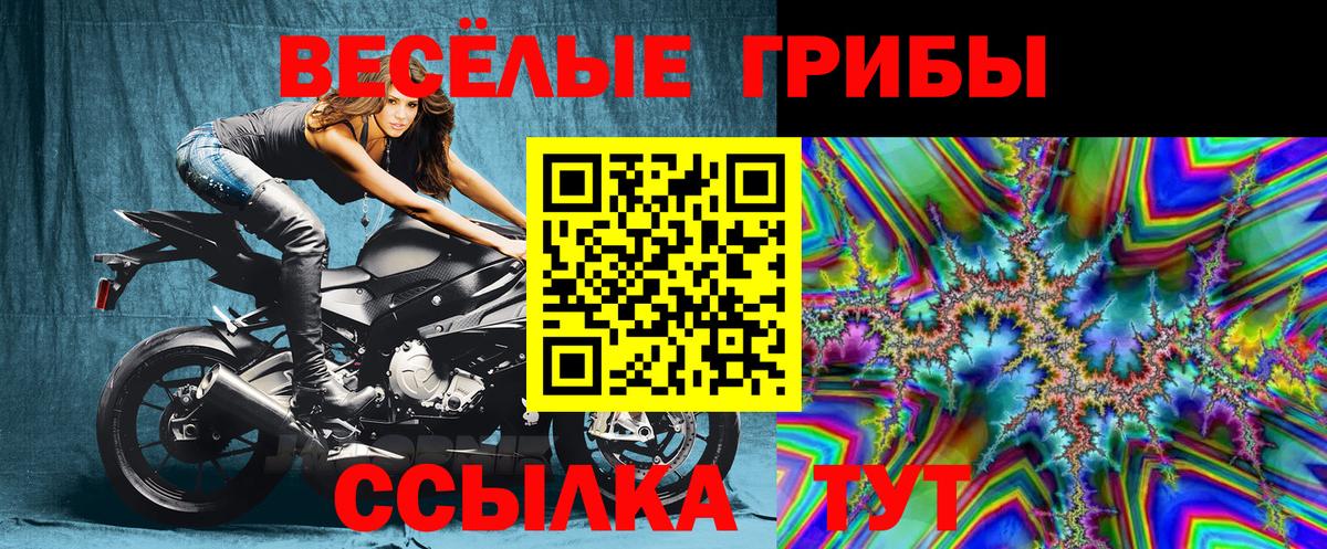 Псилоцибиновые грибы MAGIC MUSHROOMS  Вход с VPN  Михайловск 